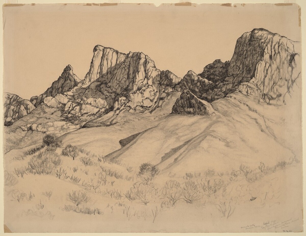 Oracle Mountains, Arizona by Leo Meissner