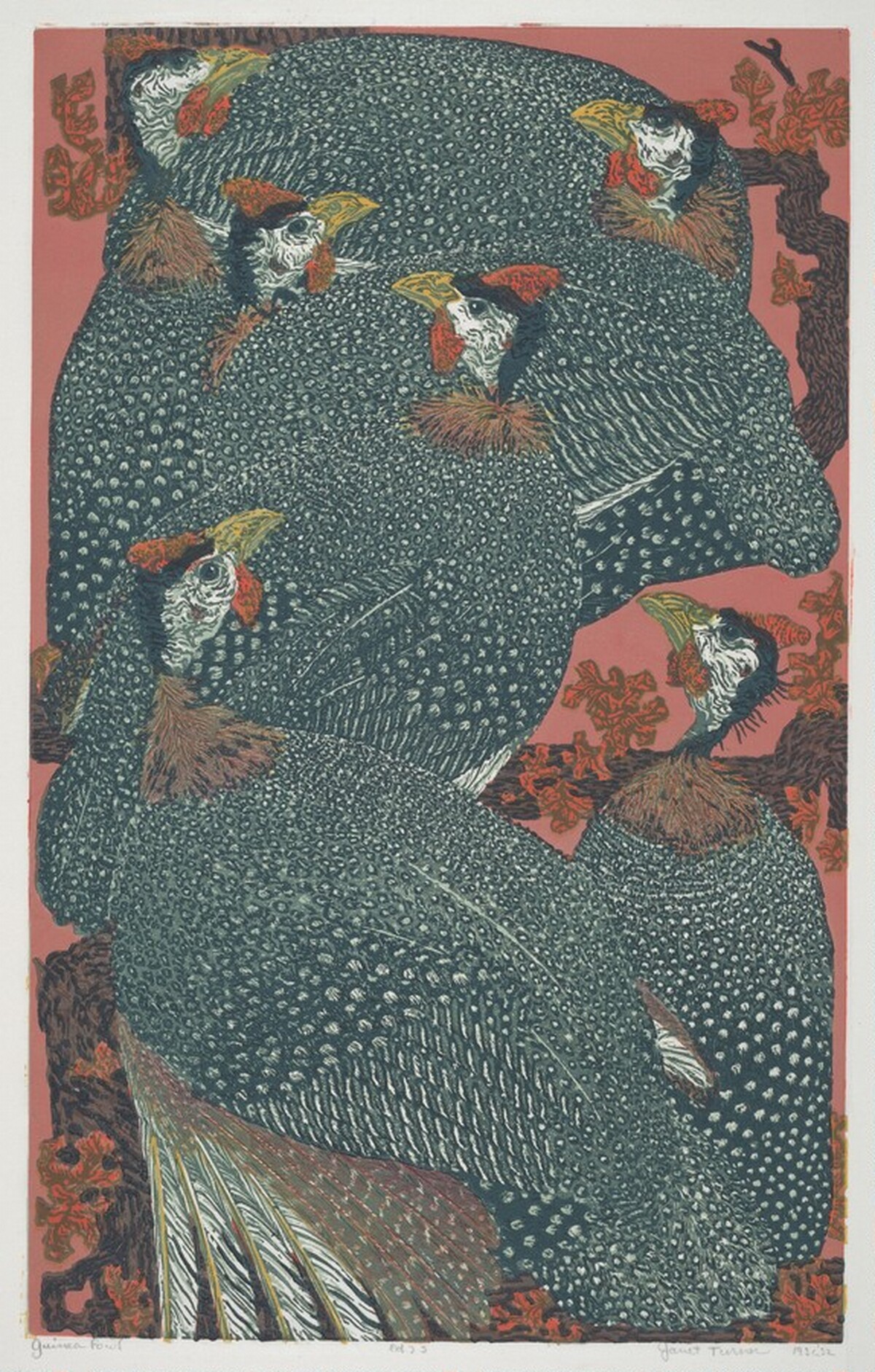 Guinea Fowl by Janet Elizabeth Turner