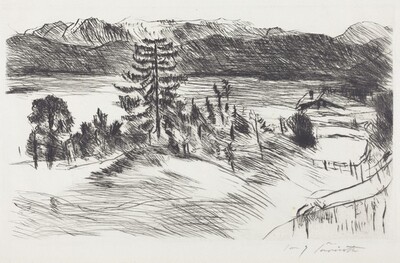 Grosse Walchenseelandschaft (Large Walchen Sea Landscape)