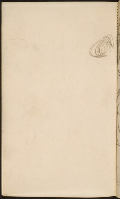 Haare der Frau auf S. 77 (Hair Bun of Figure in p. 77) [p. 76]
