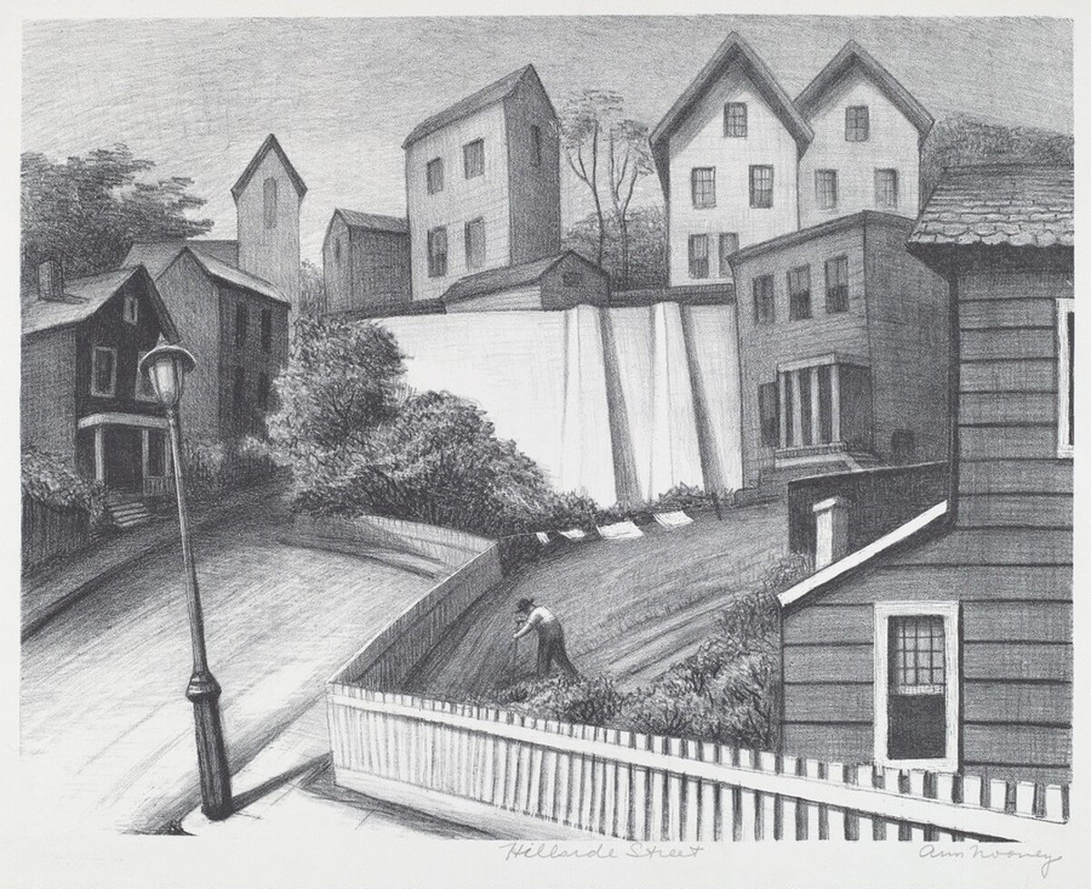 Hillside Street by Ann Nooney