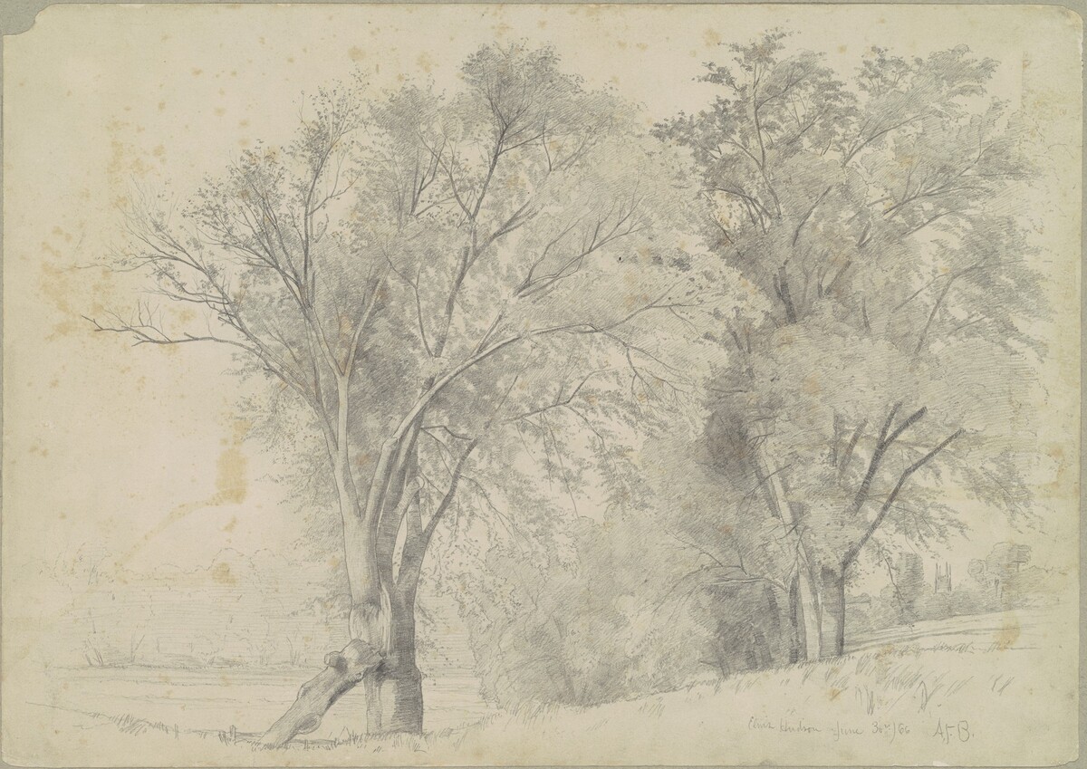 Elms, Hudson by Andrew Fisher Bunner