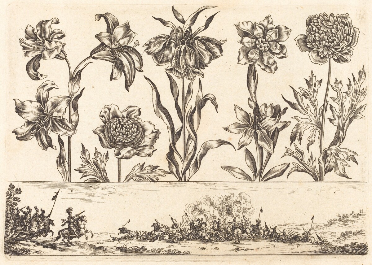 Flower Print no.8 by Nicolas Cochin after Balthasar Moncornet
