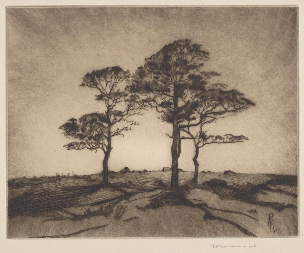 Sundown by Peter Marcus