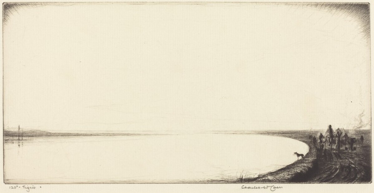 120 Degrees - Tigris by Charles William Cain
