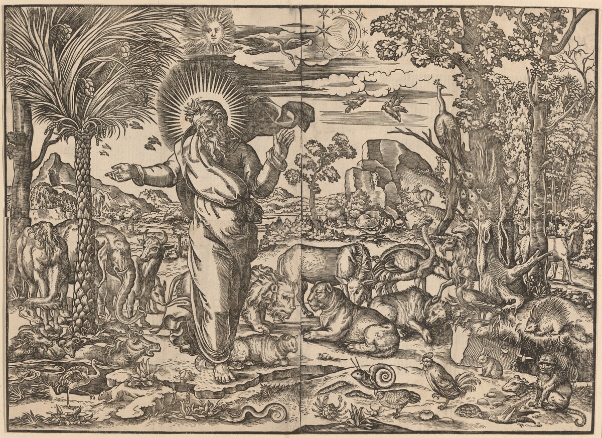 The Creation of the Animals by Venetian 16th Century, after Raphael