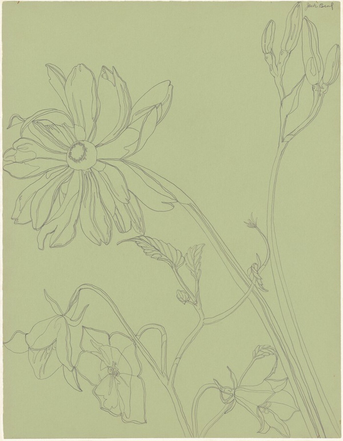 Flowers by Jack Beal