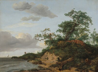 Dunes by the Sea