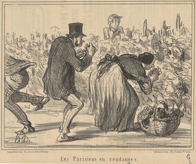 Les parisiens en vendages