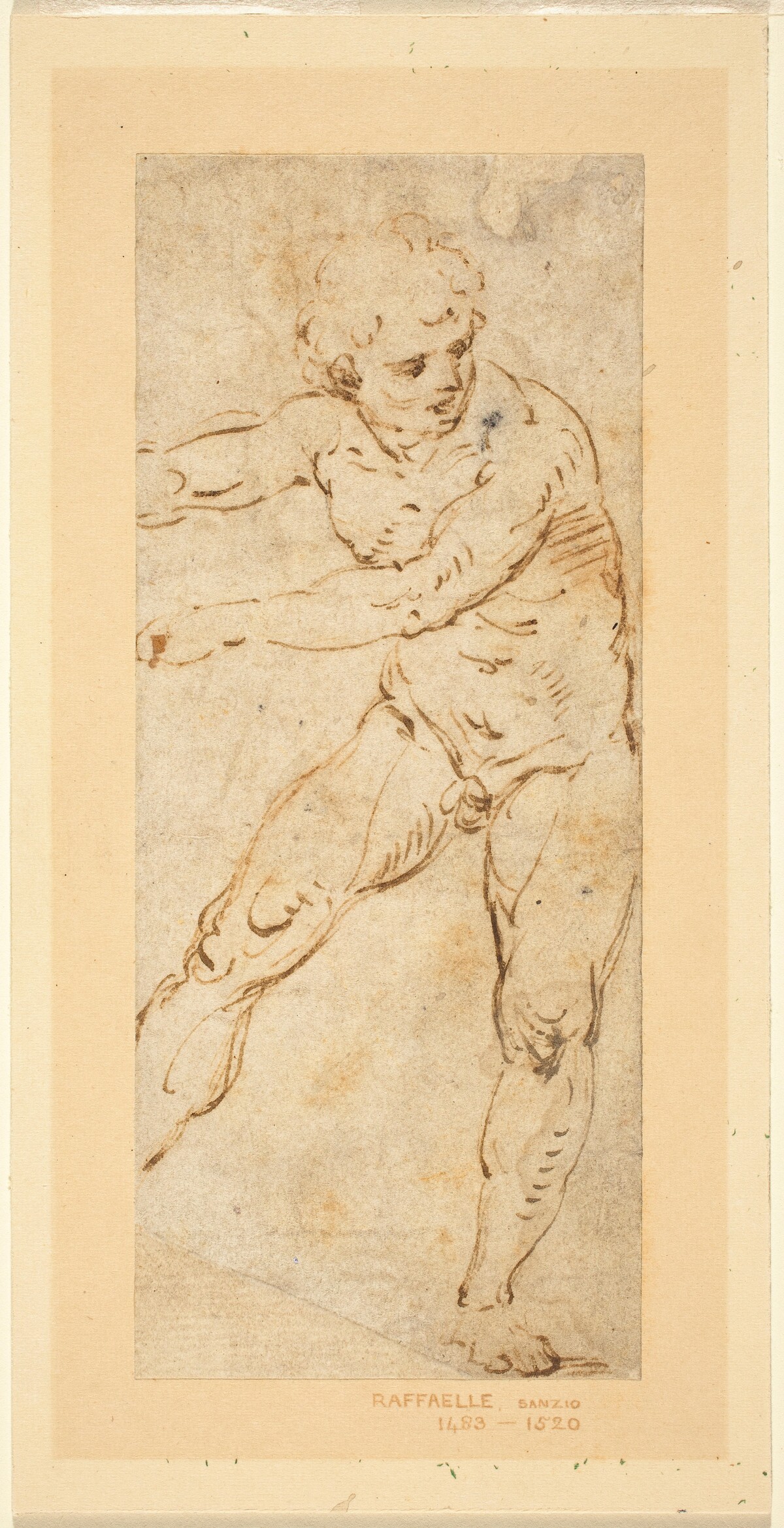 A Standing Male Nude by Circle of Raphael