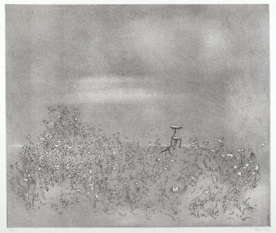 Dawn
