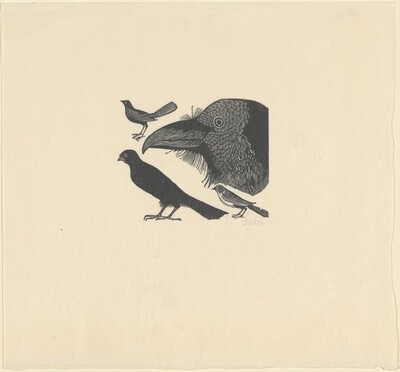 Crows
