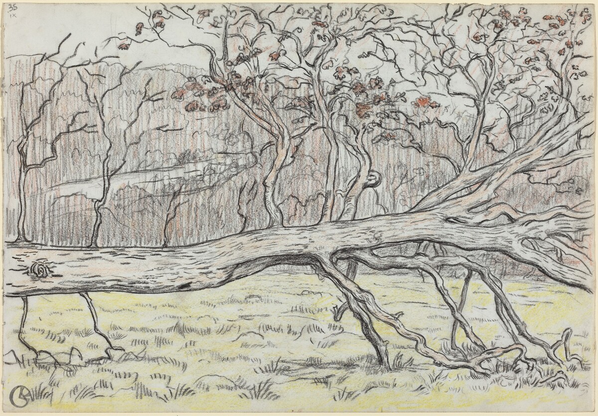 Felled Tree, Normandy by Georges Lacombe