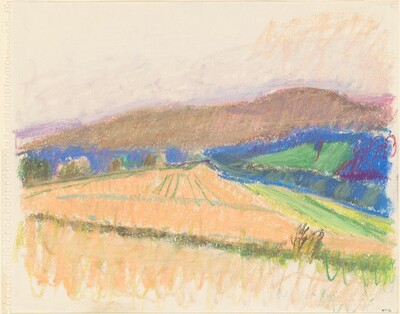 Vermont Cornfield