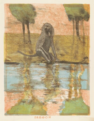 Baboon