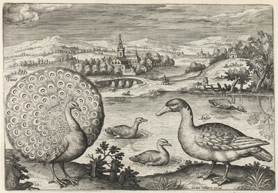 Peacock and Goose