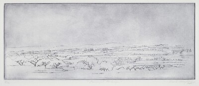 Provencal Landscape