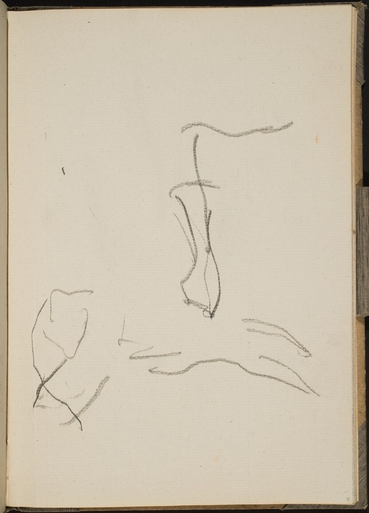 Begonnene Tierstudie (Unfinished Animal Study) [p. 5] by Max Beckmann