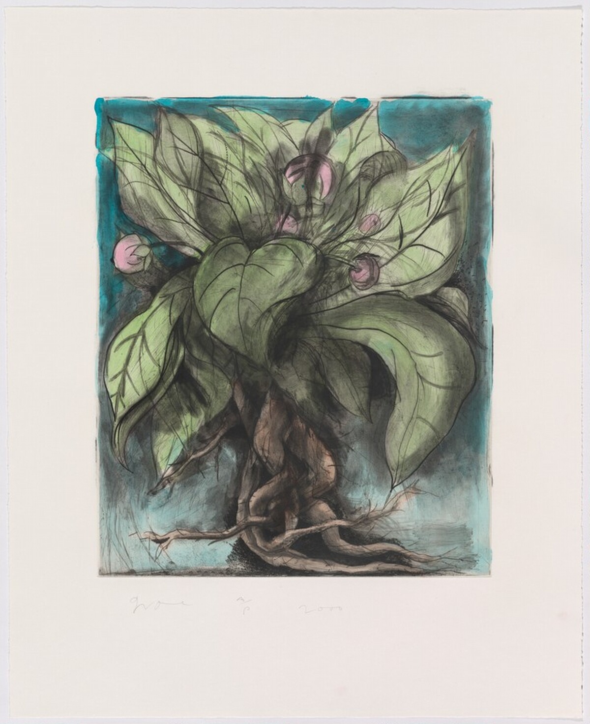 The Mandrake by Jim Dine