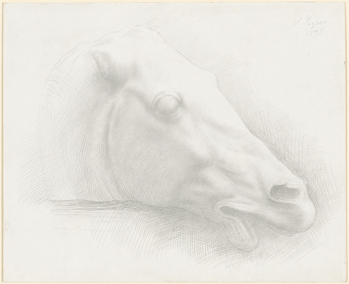 Head of a Horse from the Parthenon by Alphonse Legros