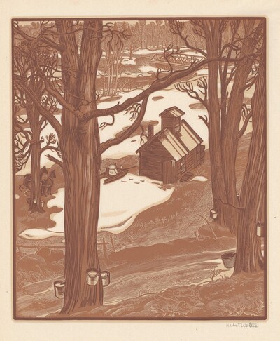 The Little Sugar House