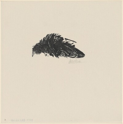 Dead Crow