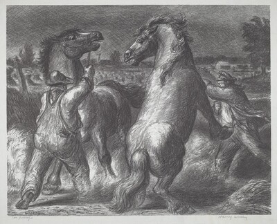 Stallion And Mare