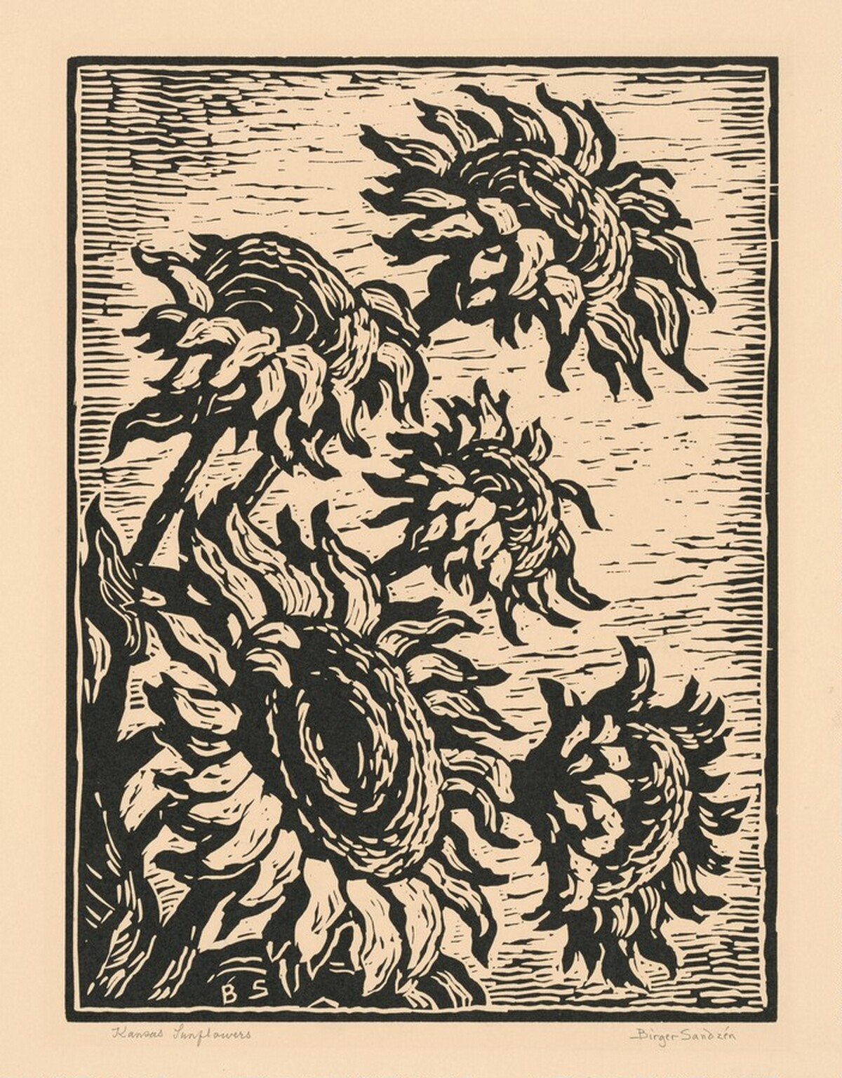 Kansas Sunflowers by Birger Sandzén
