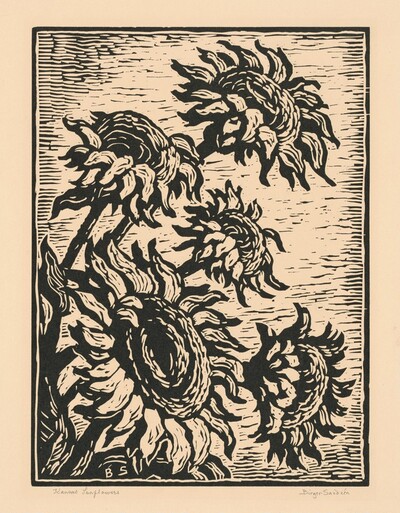 Kansas Sunflowers
