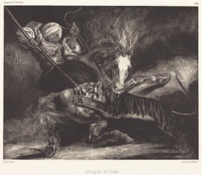 Attaque du tigre