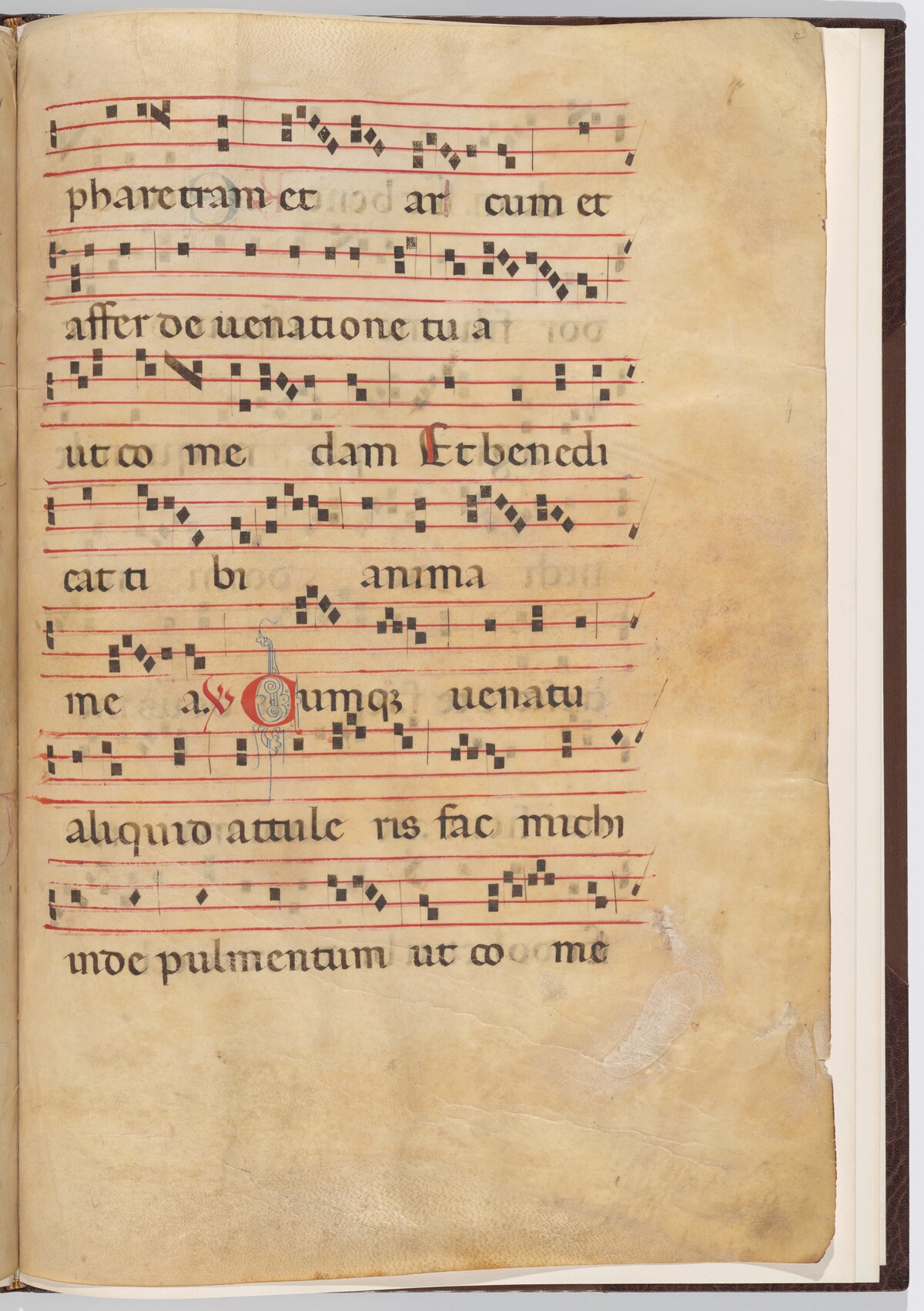 Leaf 8 from an antiphonal fragment by Italian 13th Century