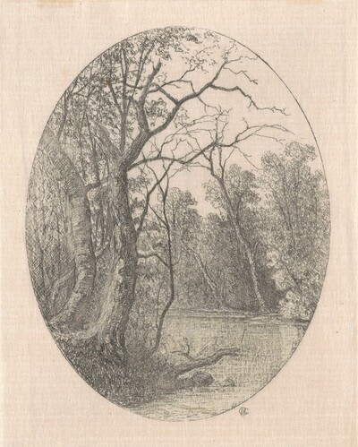 On Laurel Creek