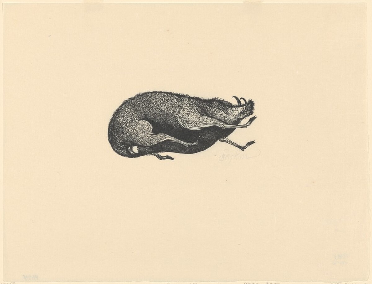 Boar, from Flaubert's "St. Julien the Hospitaller" by Leonard Baskin