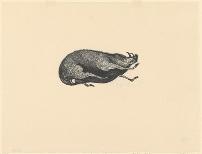 Boar, from Flaubert's "St. Julien the Hospitaller"
