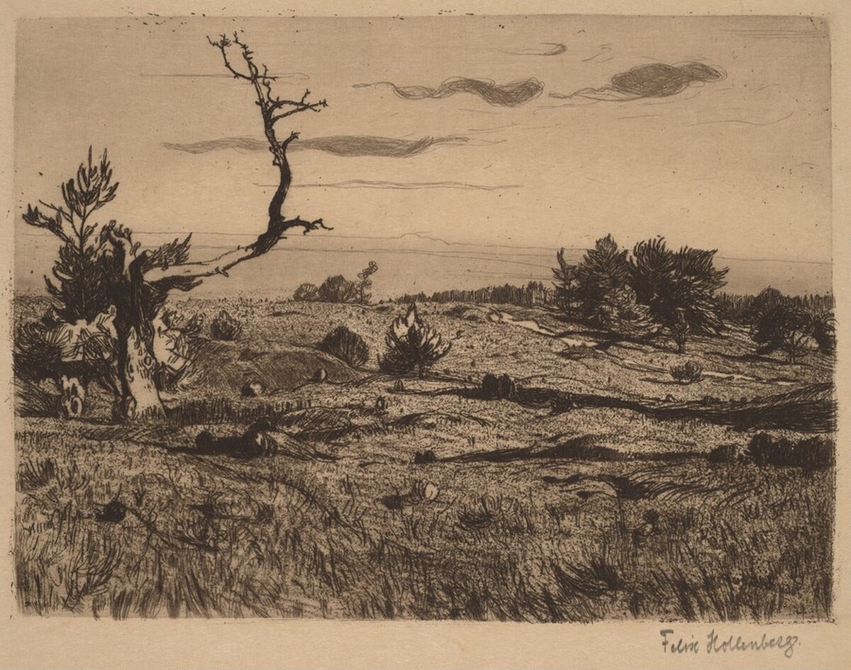 Heath with a Weathered Pine and a Path by Felix Hollenberg