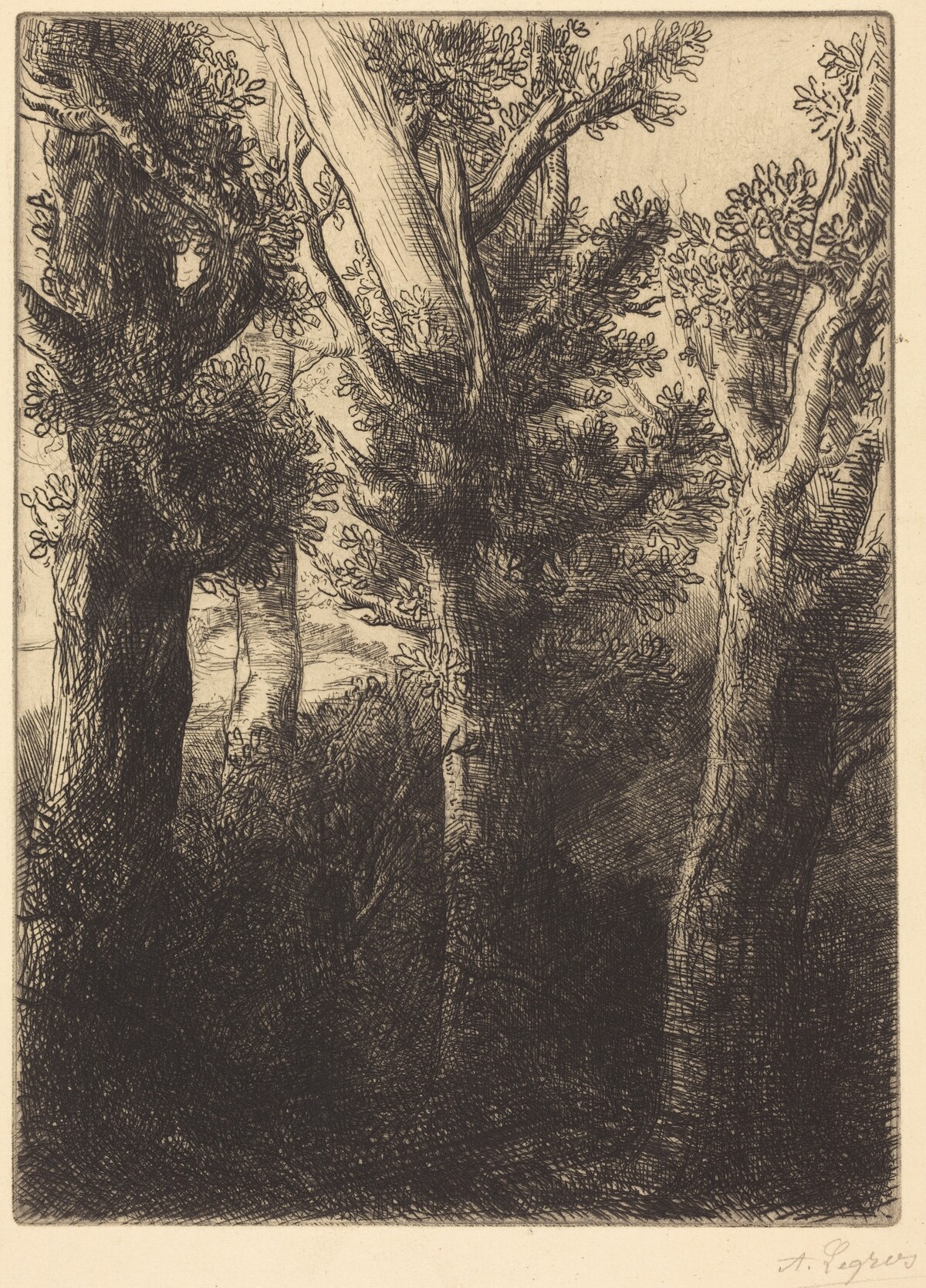 German Forest, Downley by Alphonse Legros