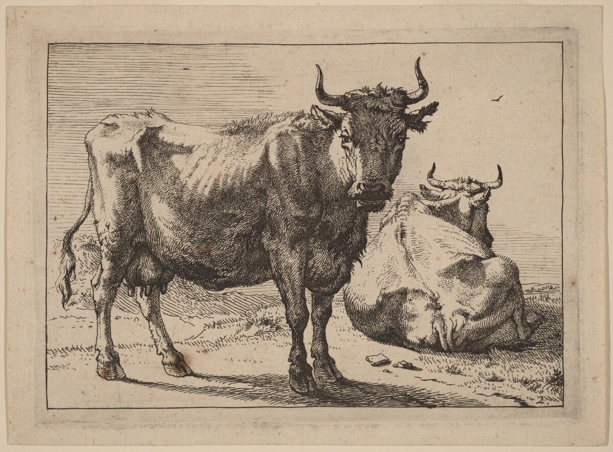 A Cow Standing and Another Lying Down by Paulus Potter