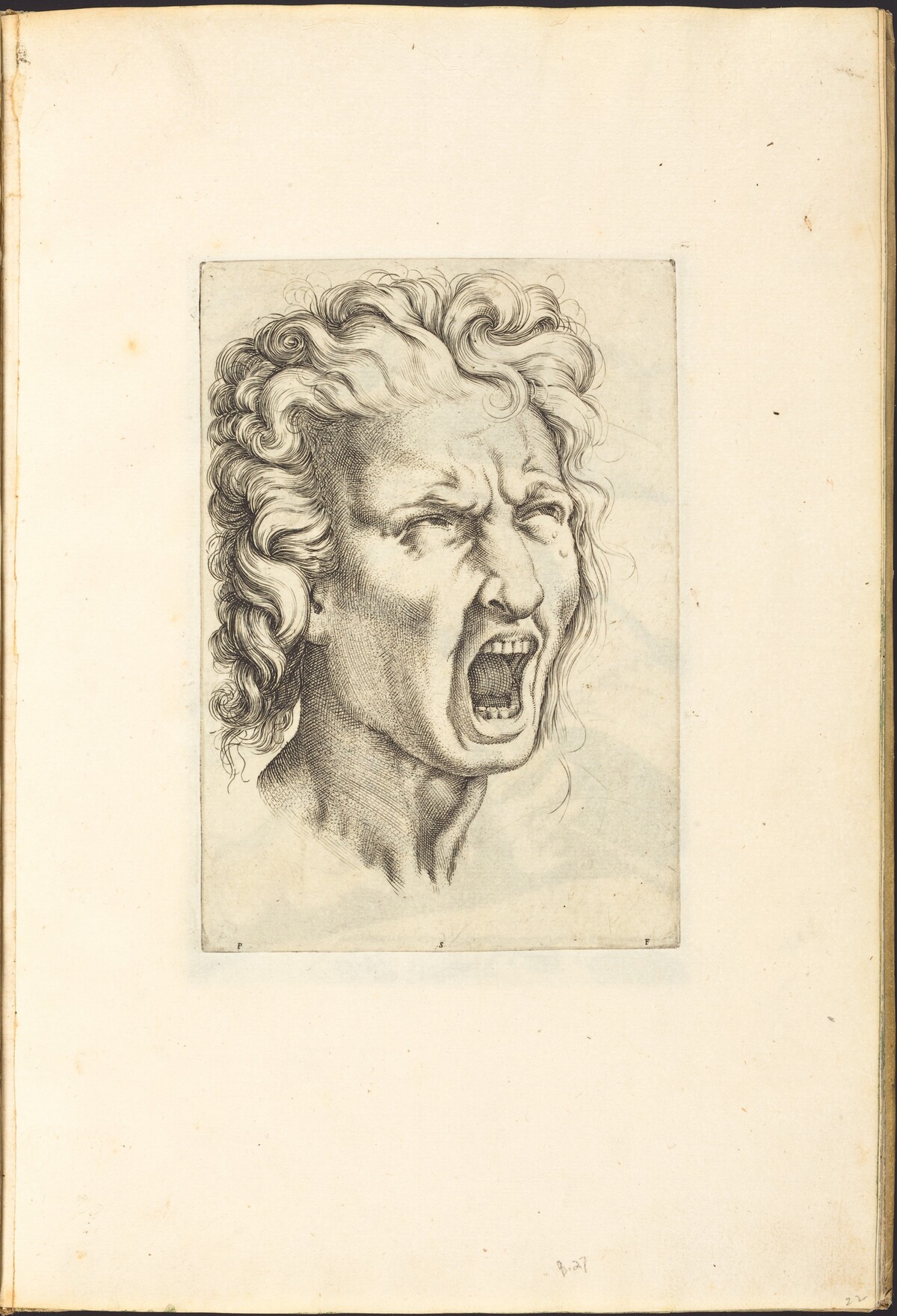 Print from Drawing Book by Luca Ciamberlano