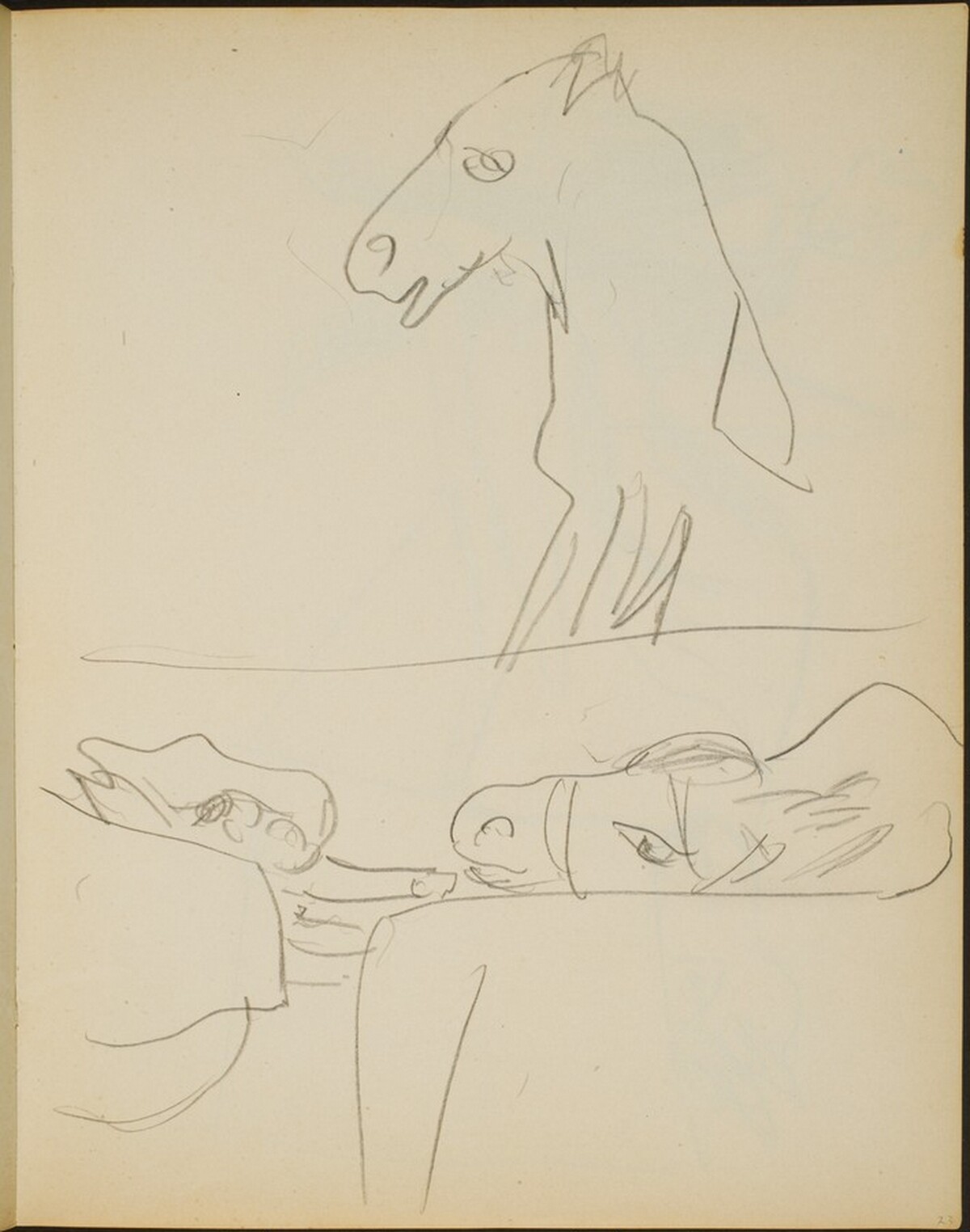 Studien eines Esels (Views of a Mule) [p. 23] by Max Beckmann