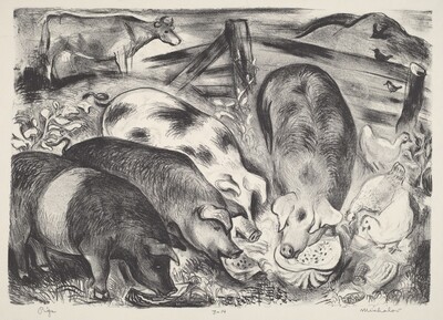 Pigs