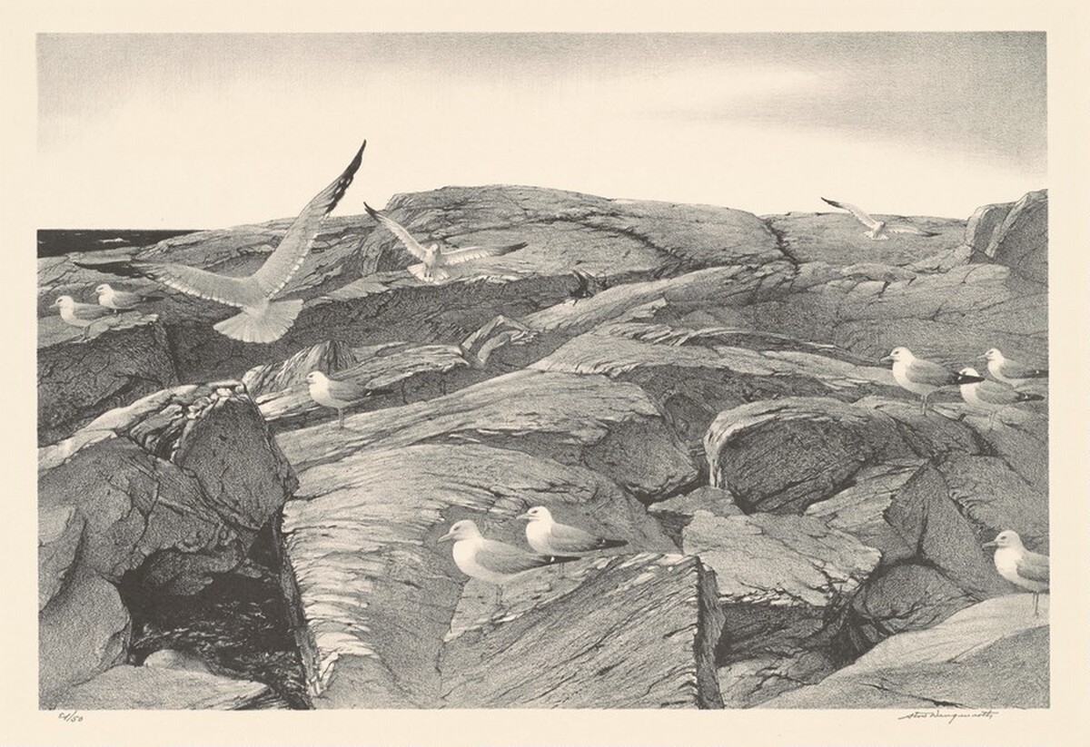 The Outer Shore by Stow Wengenroth