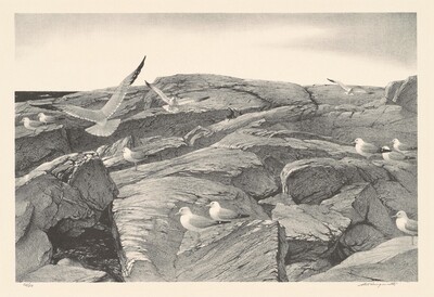 The Outer Shore