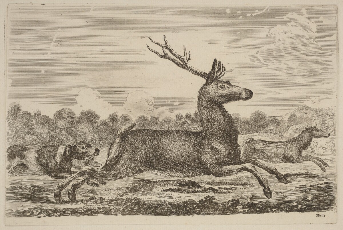 Deer Chased by Two Dogs to the Left by Stefano Della Bella