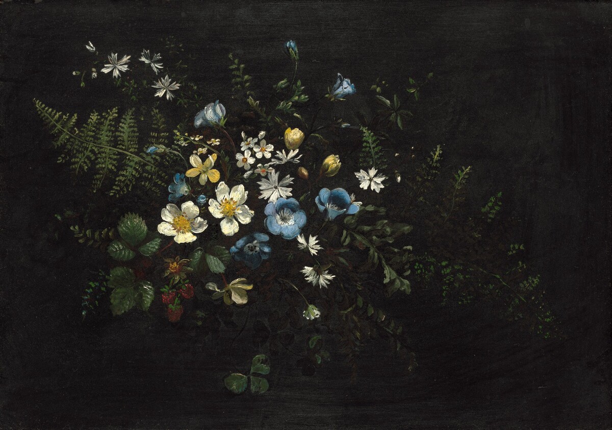 Spray of Flowers and Ferns by Titian Ramsay Peale