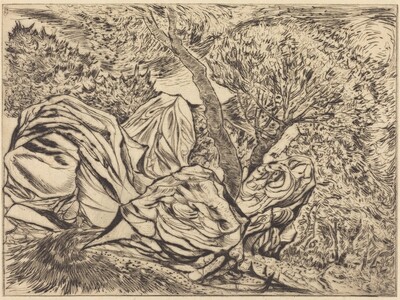 Landscape Fantasy with Large Rocks and Trees