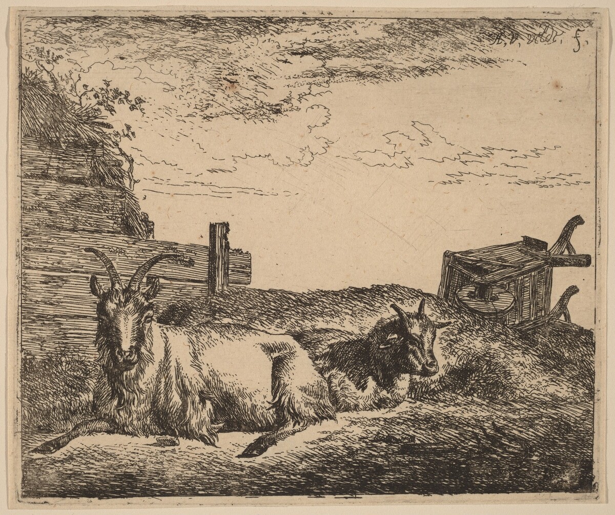 Recumbent Goats by Adriaen van de Velde