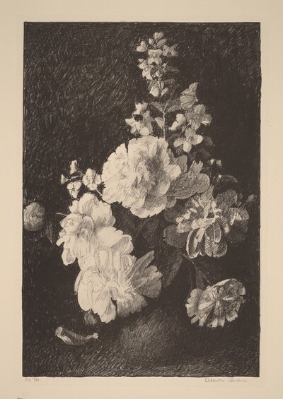 Peonies