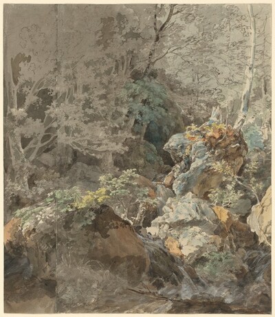 Waterfalls in a Mountain Forest