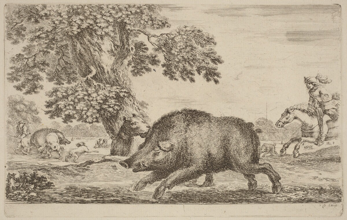 Boar Running to the Left by Stefano Della Bella