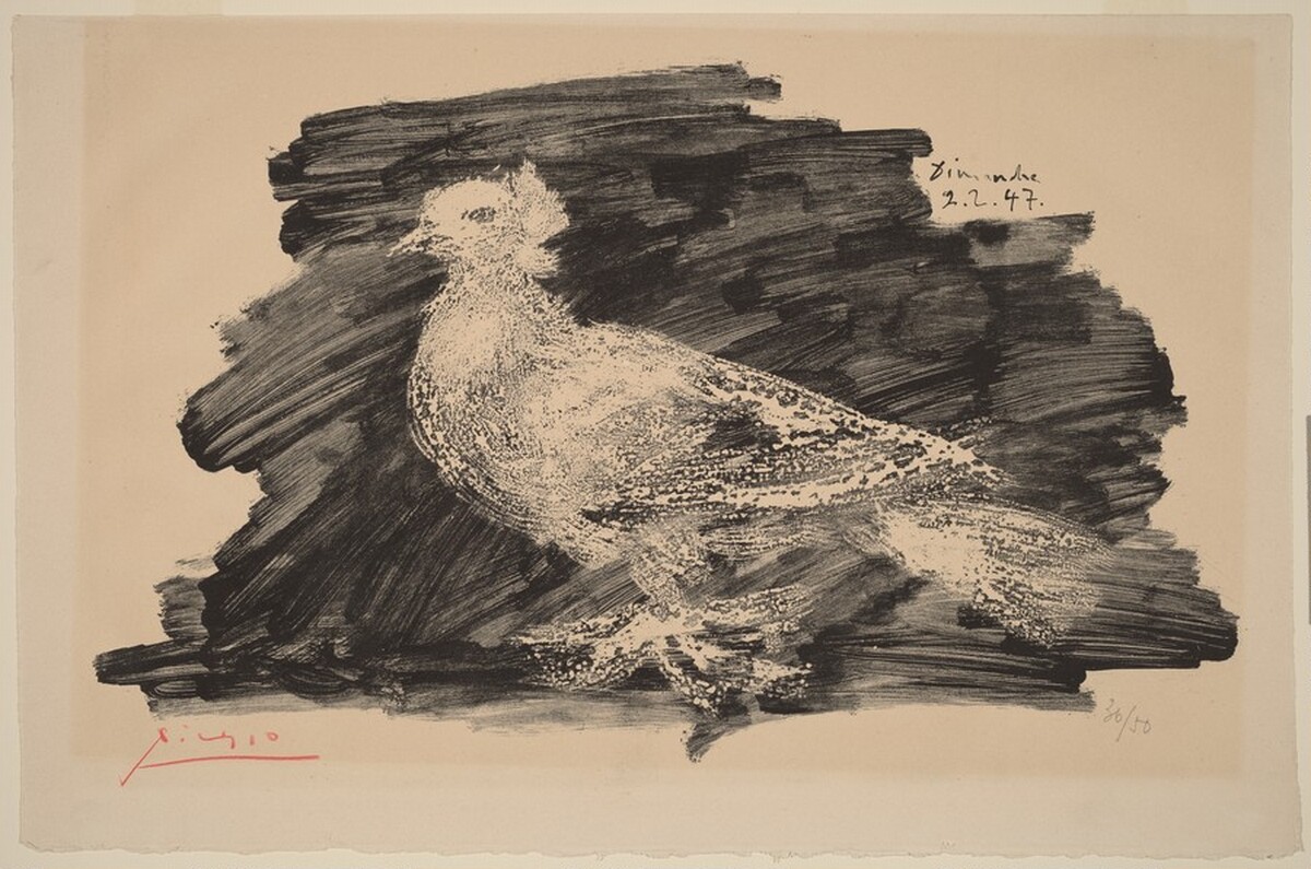 Pigeon with Gray Background (Pigeon au fond gris) by Pablo Picasso